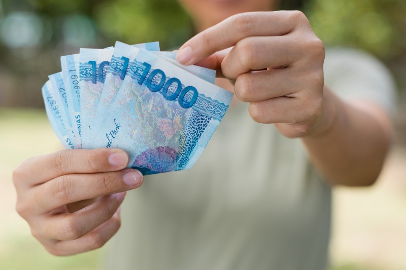 image of persons hand holding money